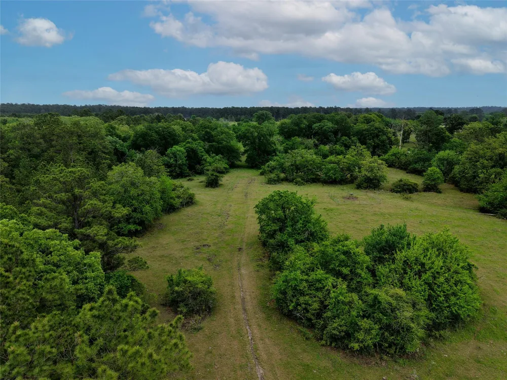 Fm 1791 Road Richards, TX 77873