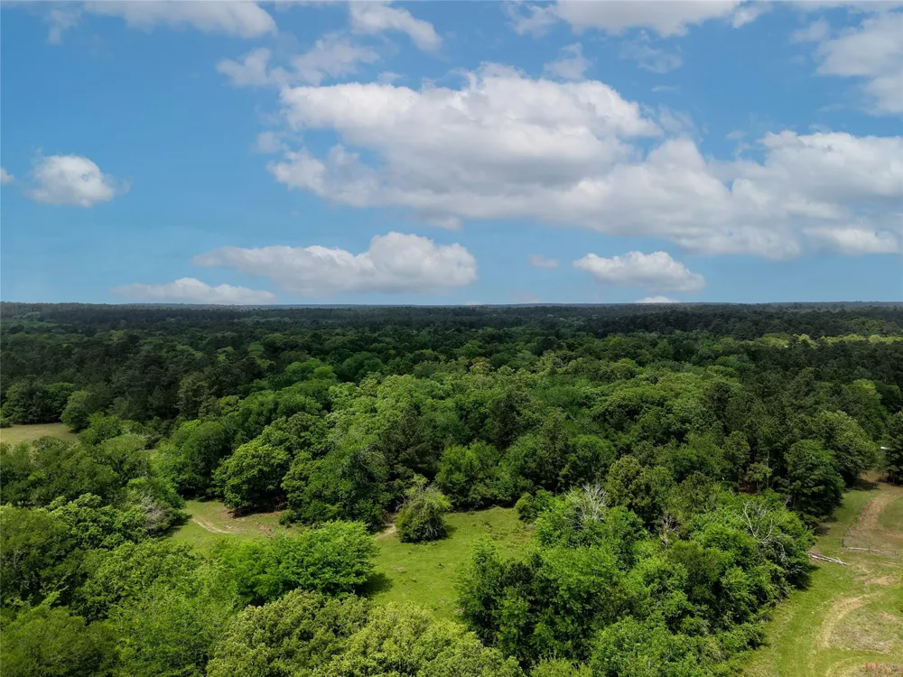 Fm 1791 Road Richards, TX 77873