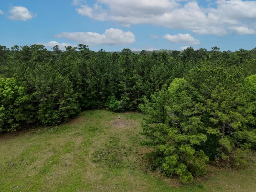 Fm 1791 Road Richards, TX 77873