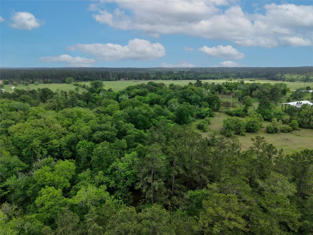 Fm 1791 Road Richards, TX 77873