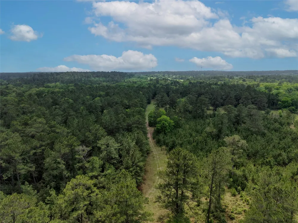 Fm 1791 Road Richards, TX 77873