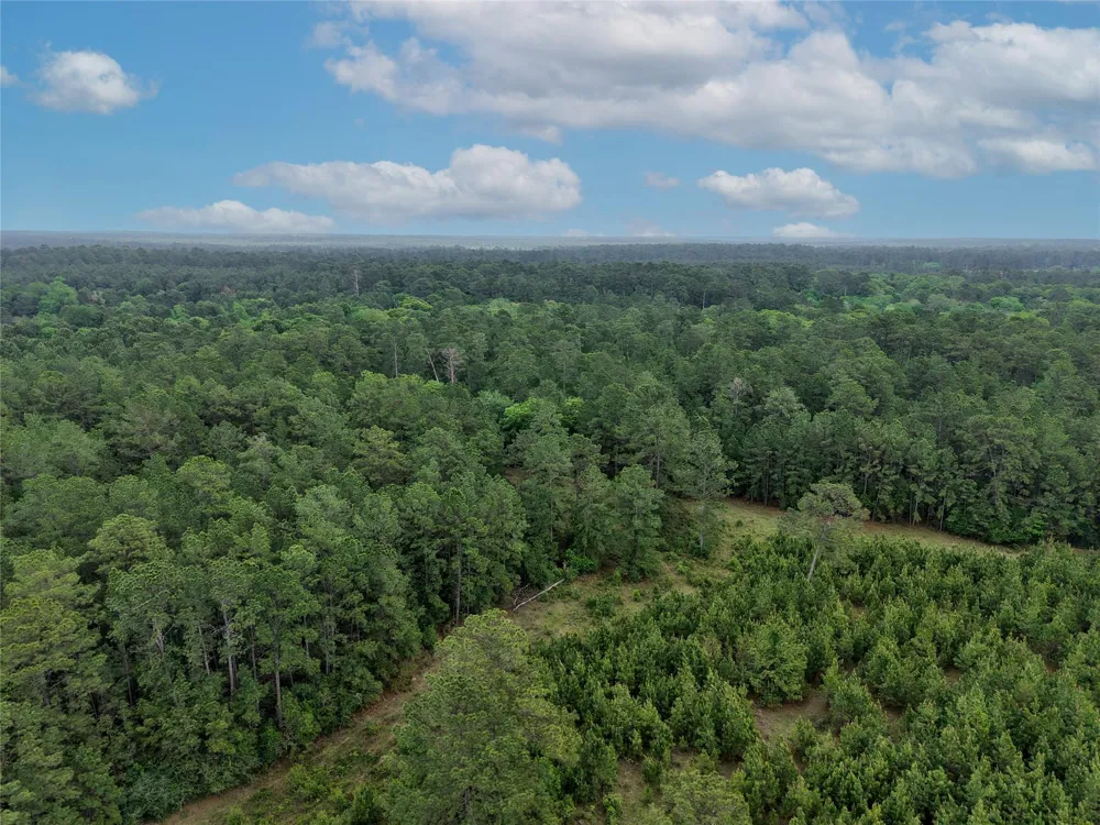 Fm 1791 Road Richards, TX 77873