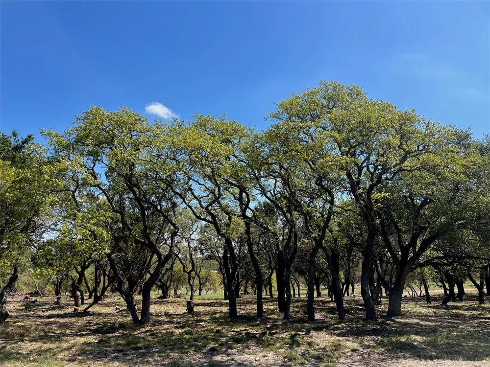 1 Barlow Drive Briggs, TX 78608