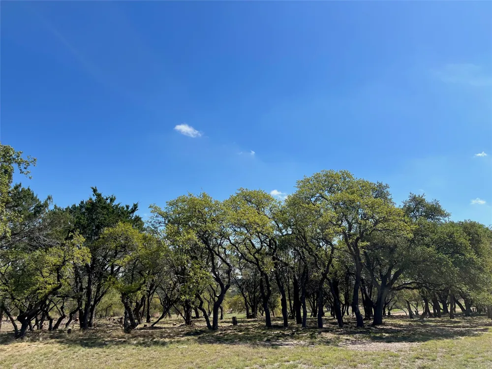 1 Barlow Drive Briggs, TX 78608