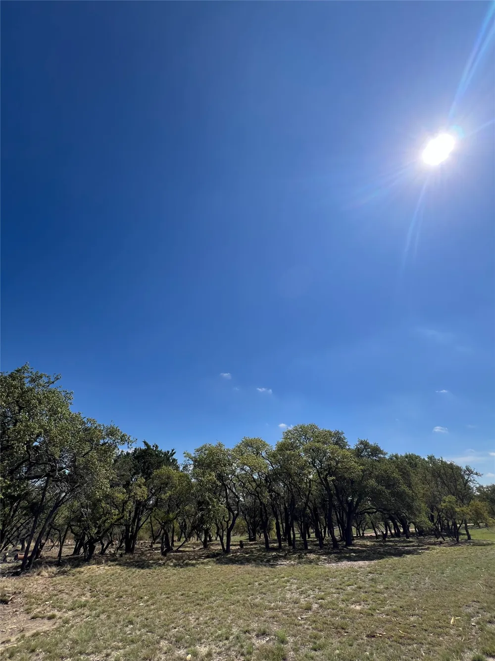 1 Barlow Drive Briggs, TX 78608