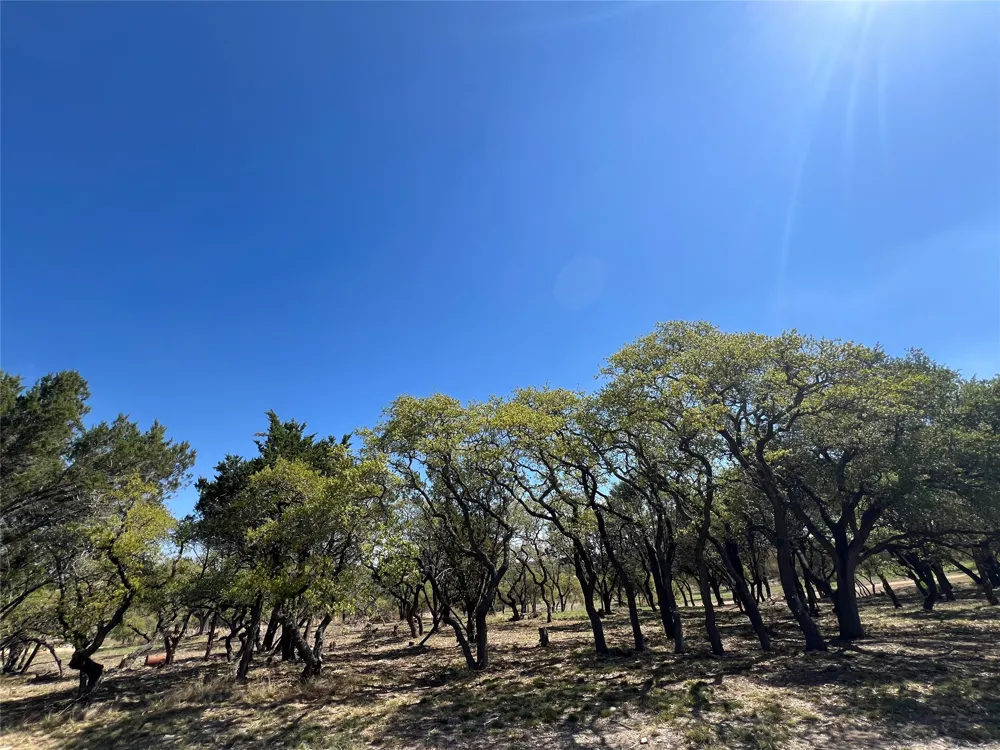1 Barlow Drive Briggs, TX 78608