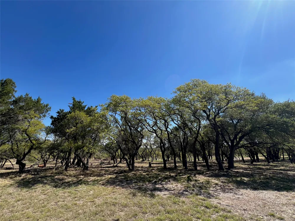 1 Barlow Drive Briggs, TX 78608