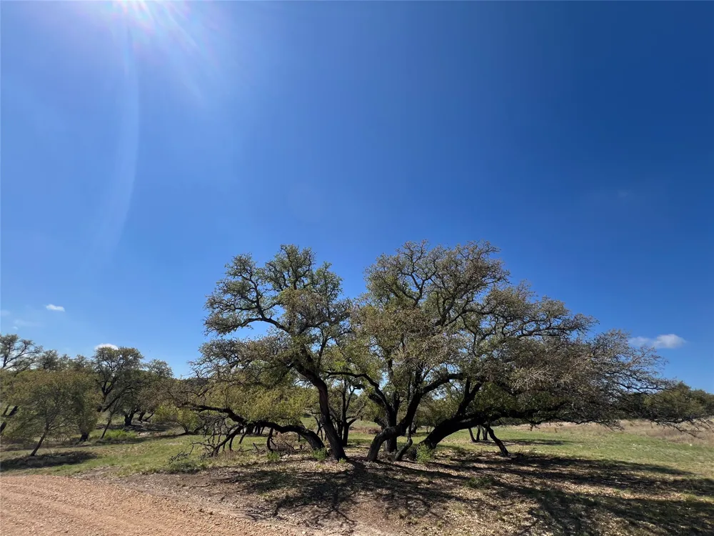 1 Barlow Drive Briggs, TX 78608