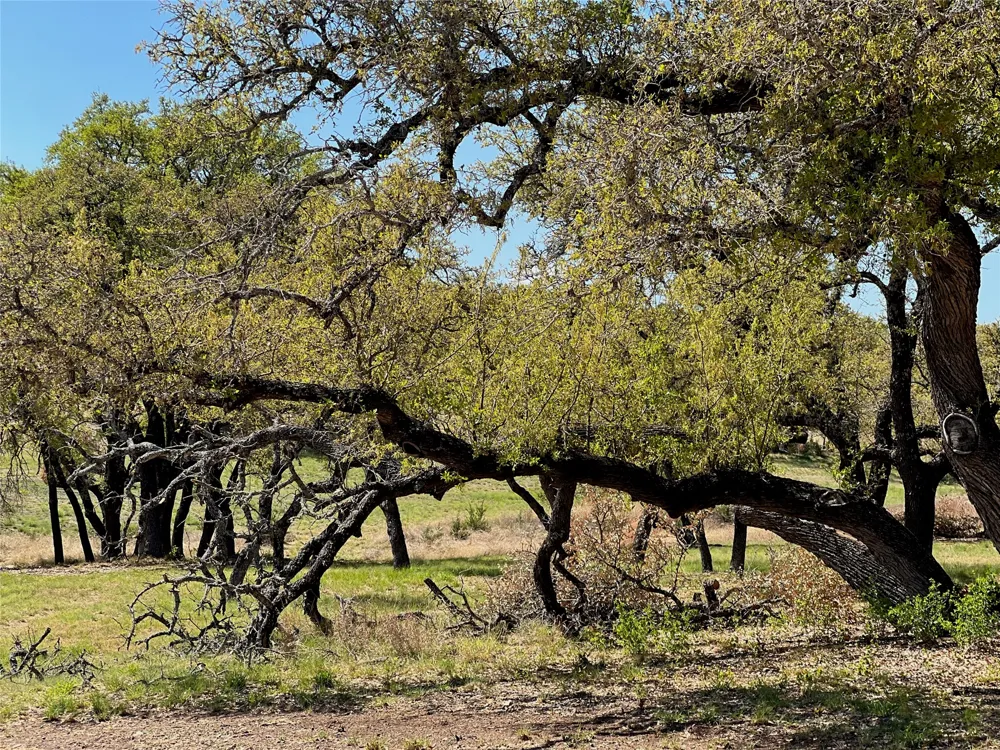 1 Barlow Drive Briggs, TX 78608
