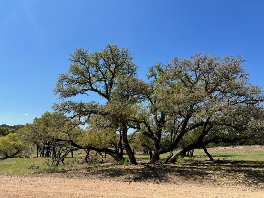 1 Barlow Drive Briggs, TX 78608