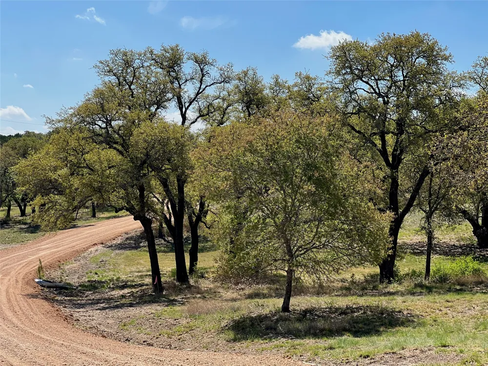 1 Barlow Drive Briggs, TX 78608