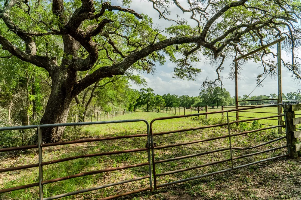 2745 Holub Road Schulenburg, TX 78956