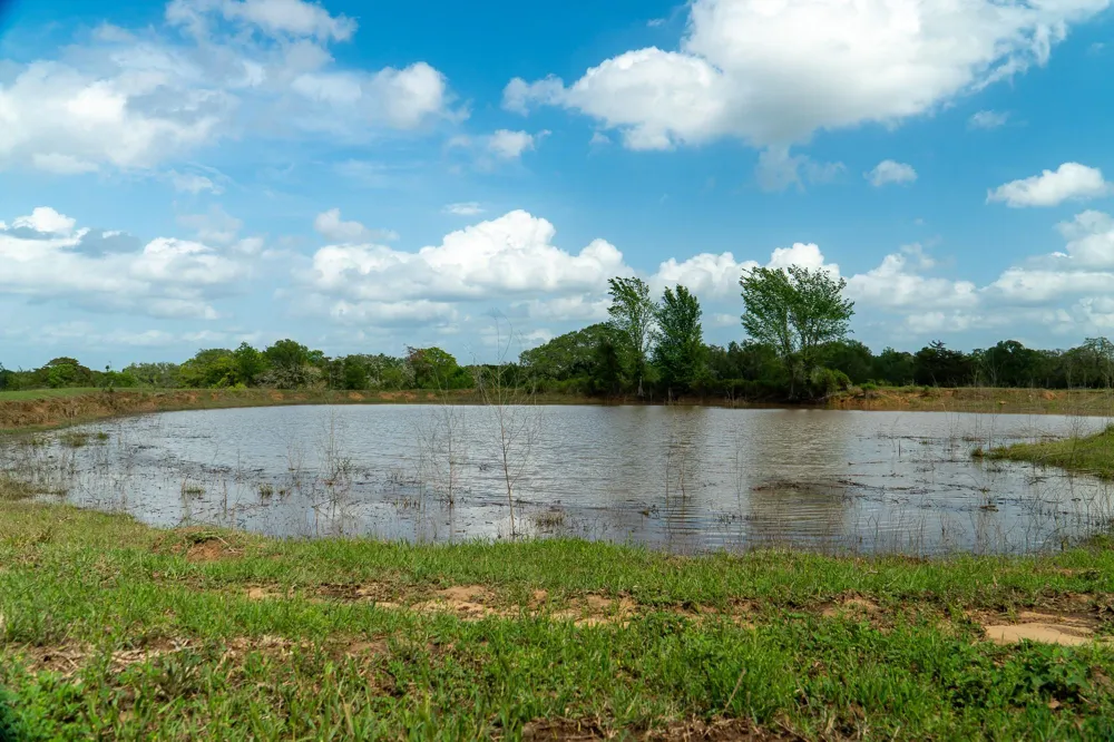 2745 Holub Road Schulenburg, TX 78956
