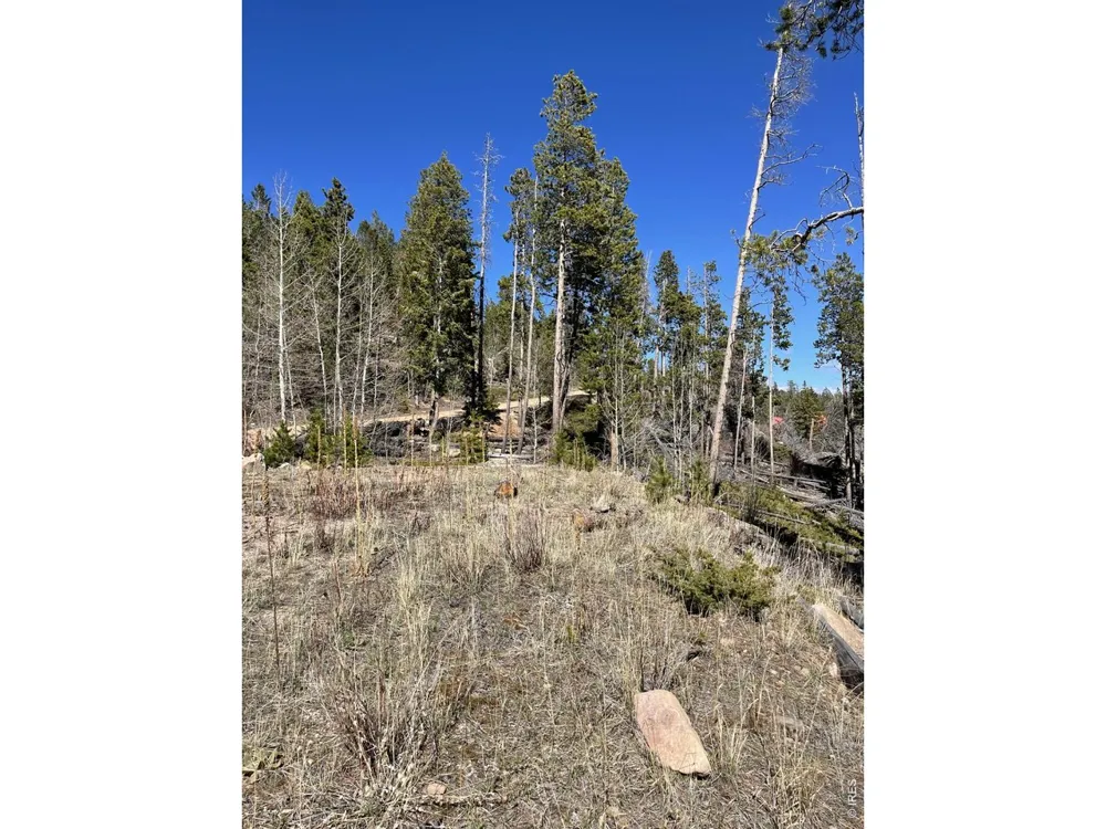 66 Piegan Court Red Feather Lakes, CO 80545