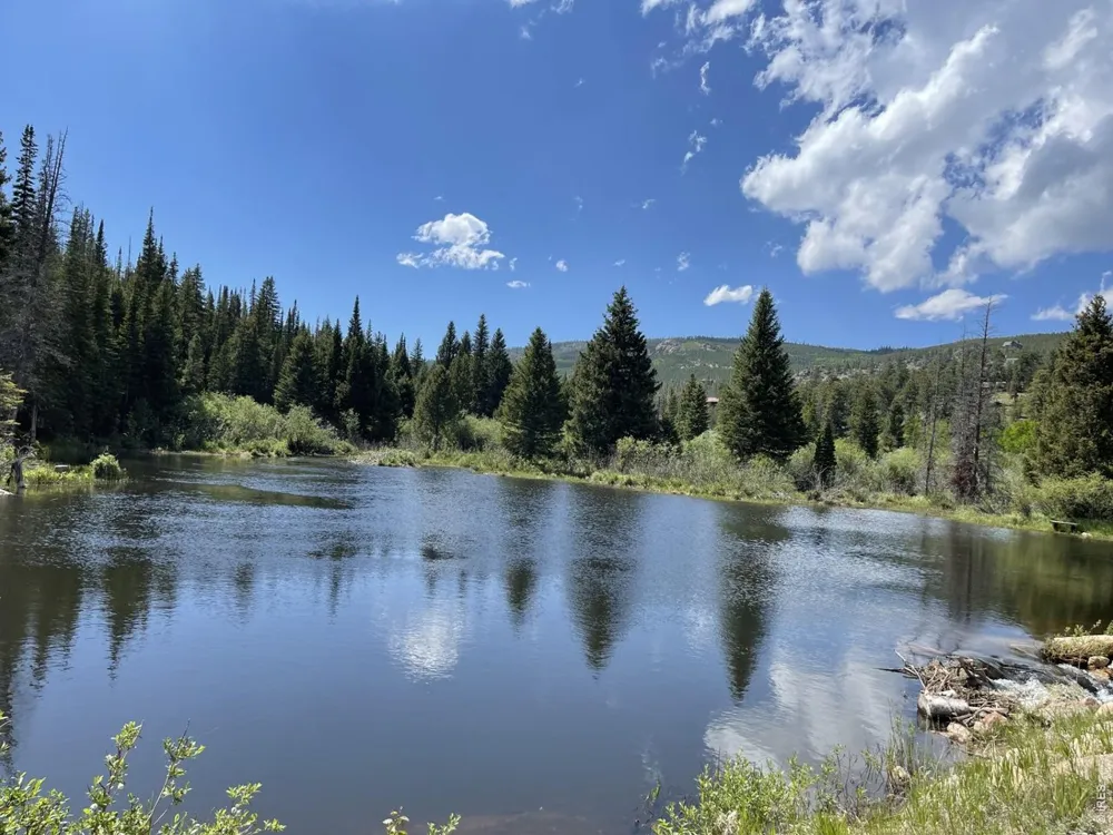 66 Piegan Court Red Feather Lakes, CO 80545