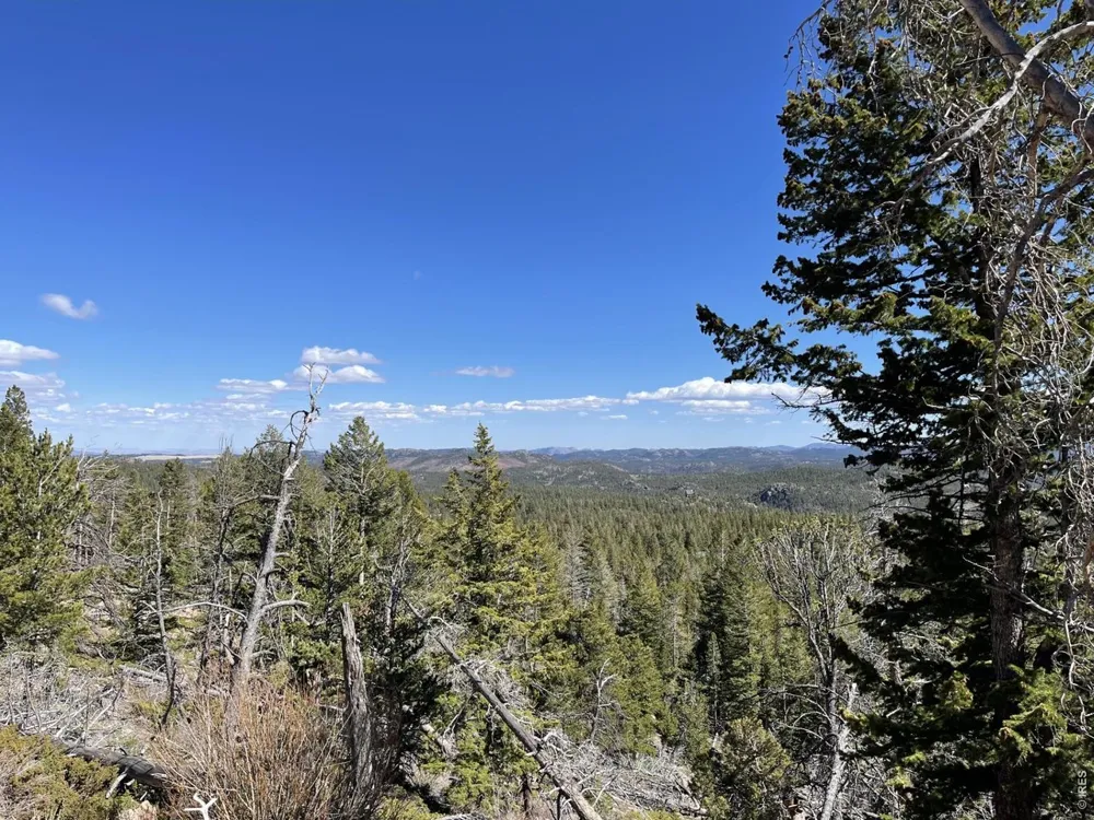 66 Piegan Court Red Feather Lakes, CO 80545
