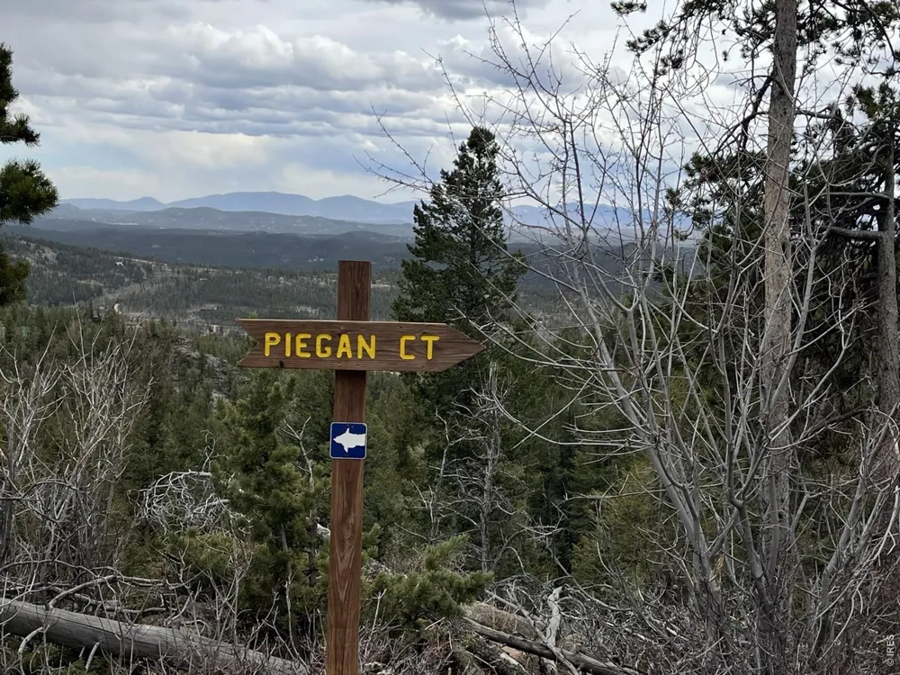 66 Piegan Court Red Feather Lakes, CO 80545
