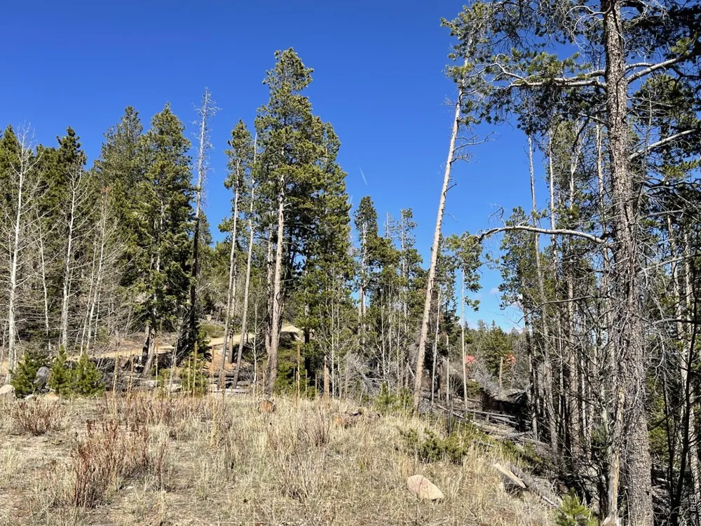 66 Piegan Court Red Feather Lakes, CO 80545