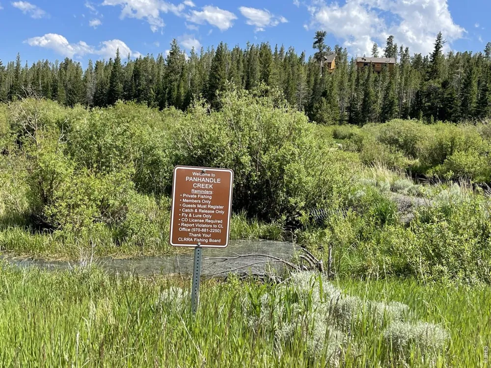 66 Piegan Court Red Feather Lakes, CO 80545
