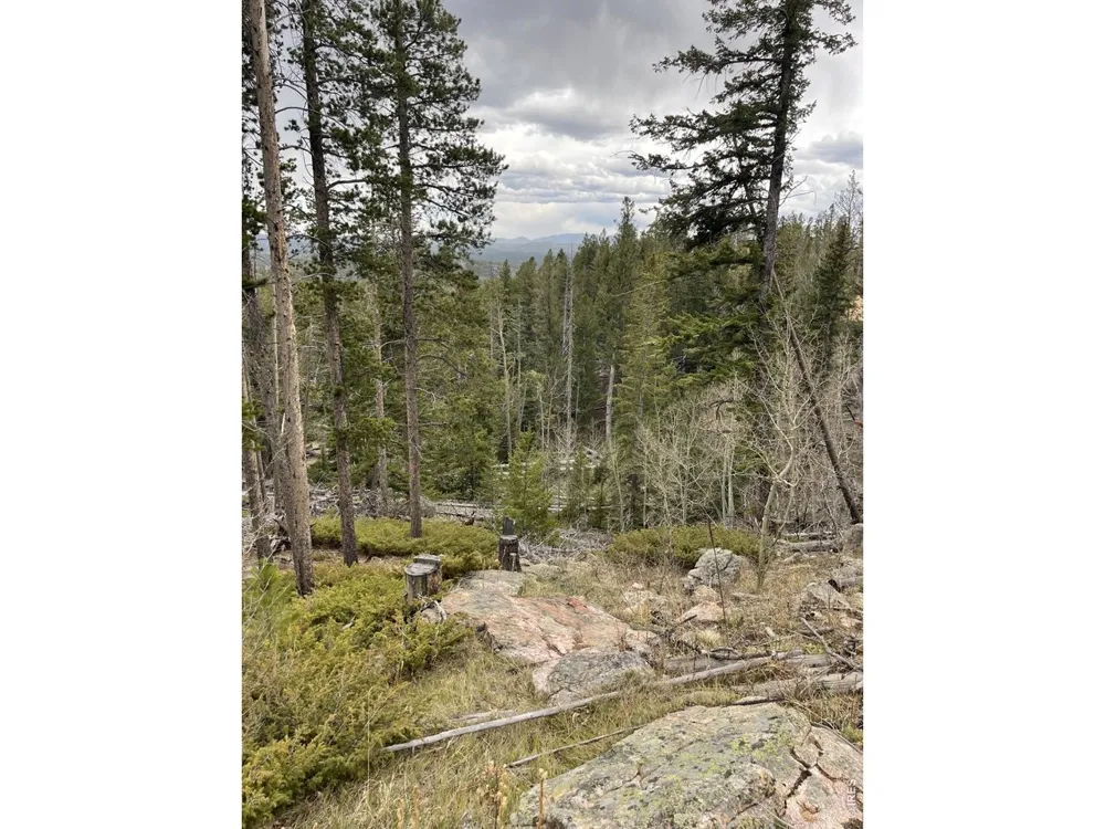 66 Piegan Court Red Feather Lakes, CO 80545