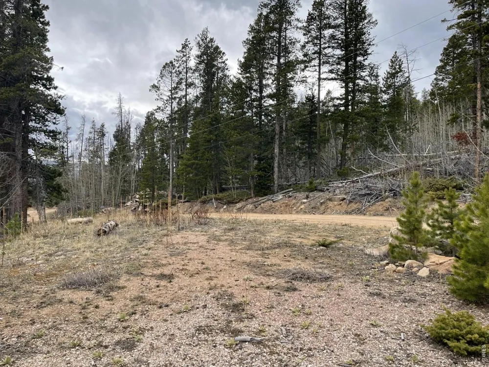 66 Piegan Court Red Feather Lakes, CO 80545