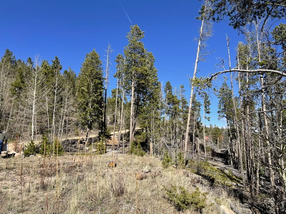 66 Piegan Court Red Feather Lakes, CO 80545