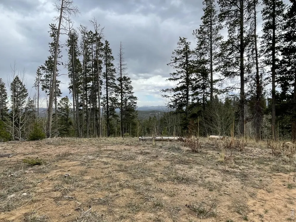 66 Piegan Court Red Feather Lakes, CO 80545