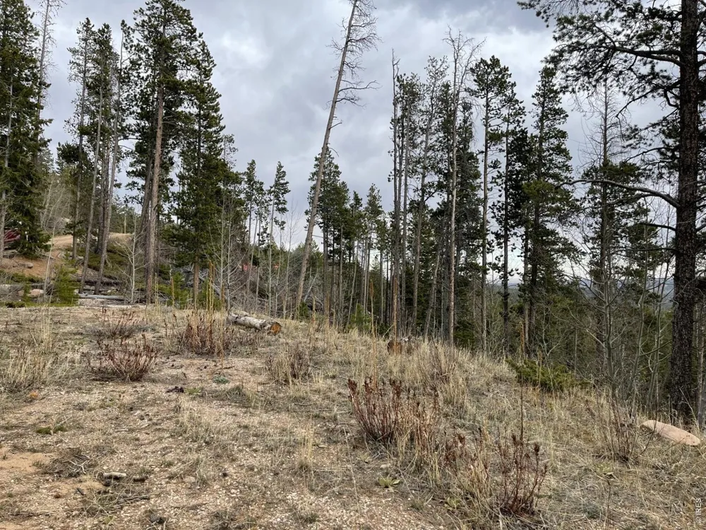 66 Piegan Court Red Feather Lakes, CO 80545