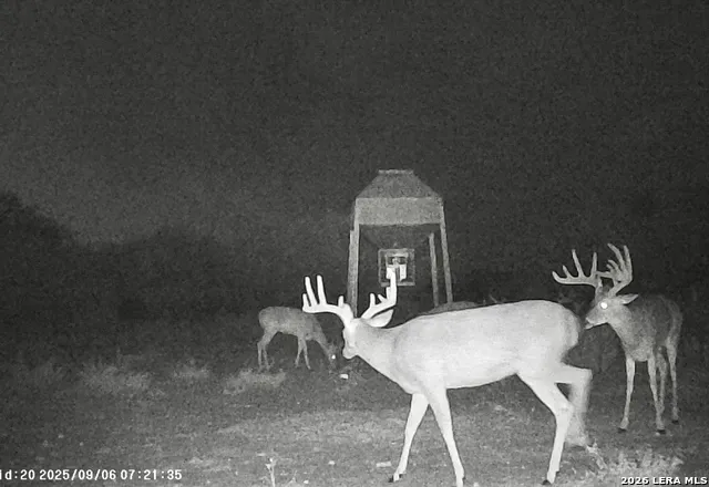 IH 35 Pearsall, TX 78061