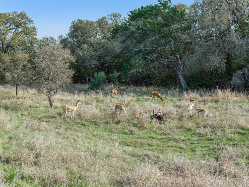 8901 County Road 108 Burnet, TX 78611