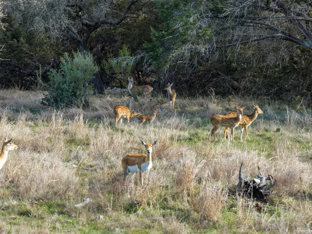 8901 County Road 108 Burnet, TX 78611