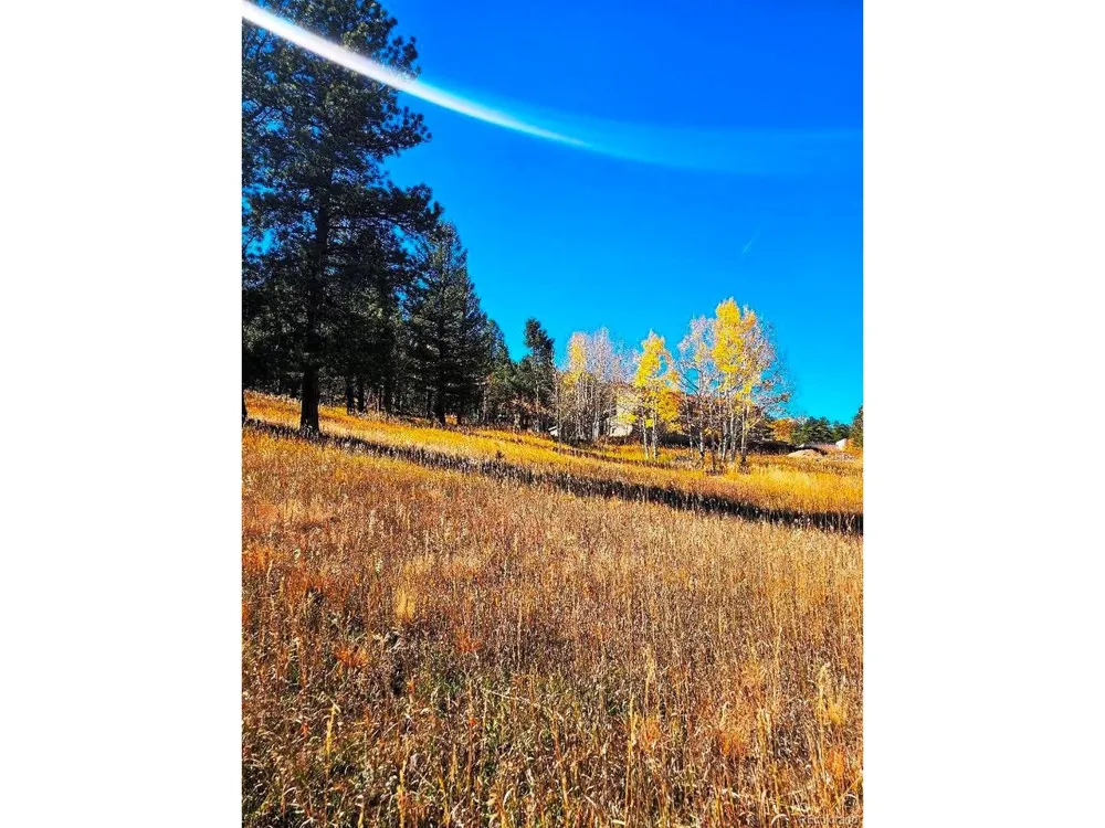 1504 County Road 43 Bailey, CO 80421