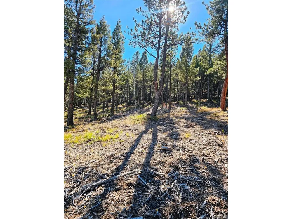 1504 County Road 43 Bailey, CO 80421