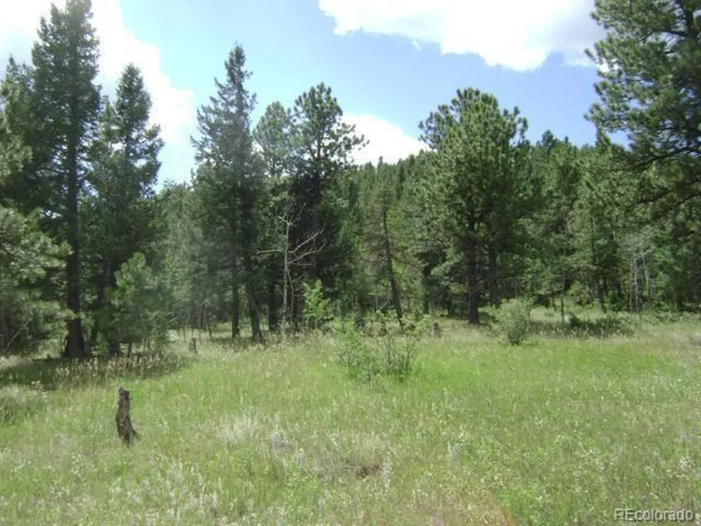 1504 County Road 43 Bailey, CO 80421