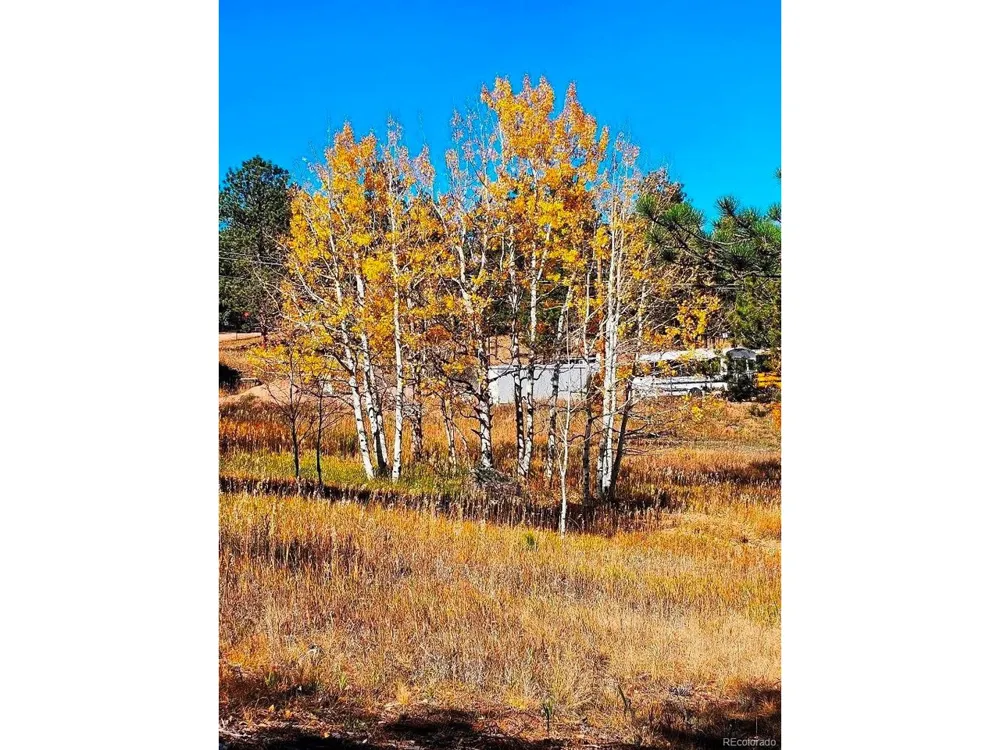 1504 County Road 43 Bailey, CO 80421