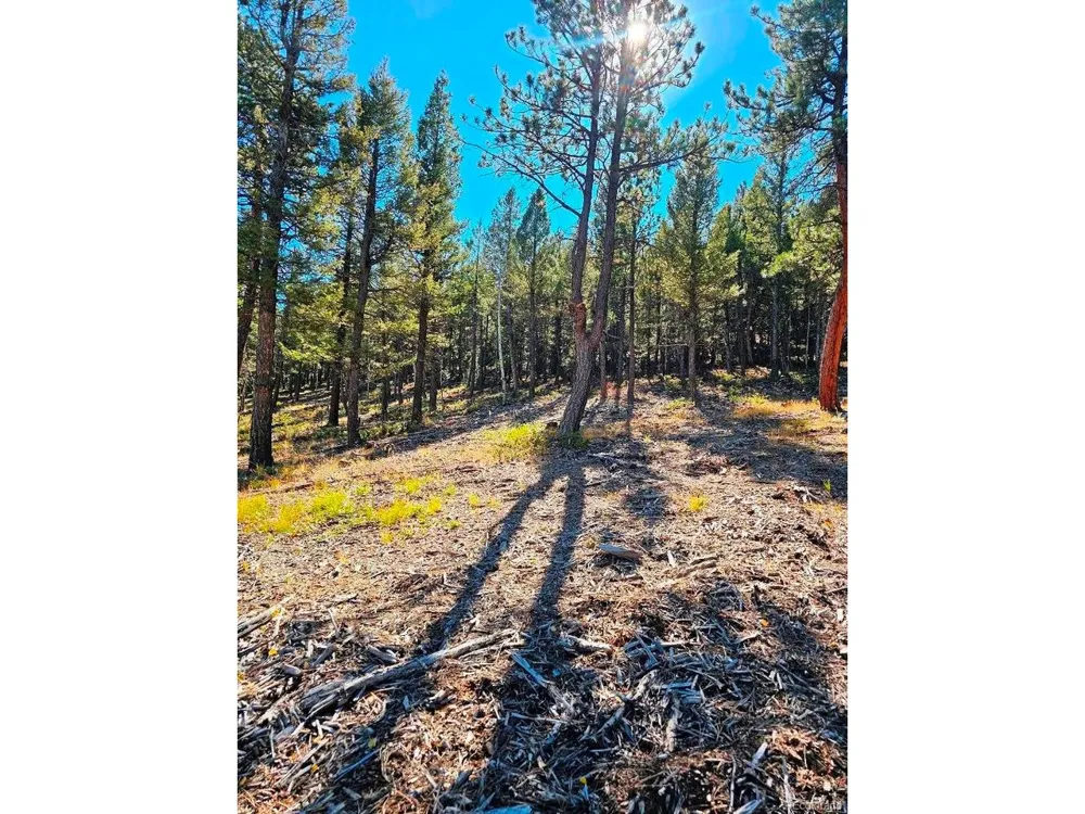 1504 County Road 43 Bailey, CO 80421