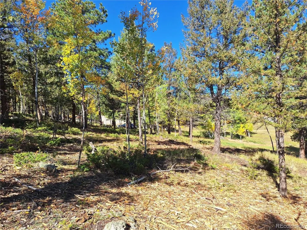 1504 County Road 43 Bailey, CO 80421