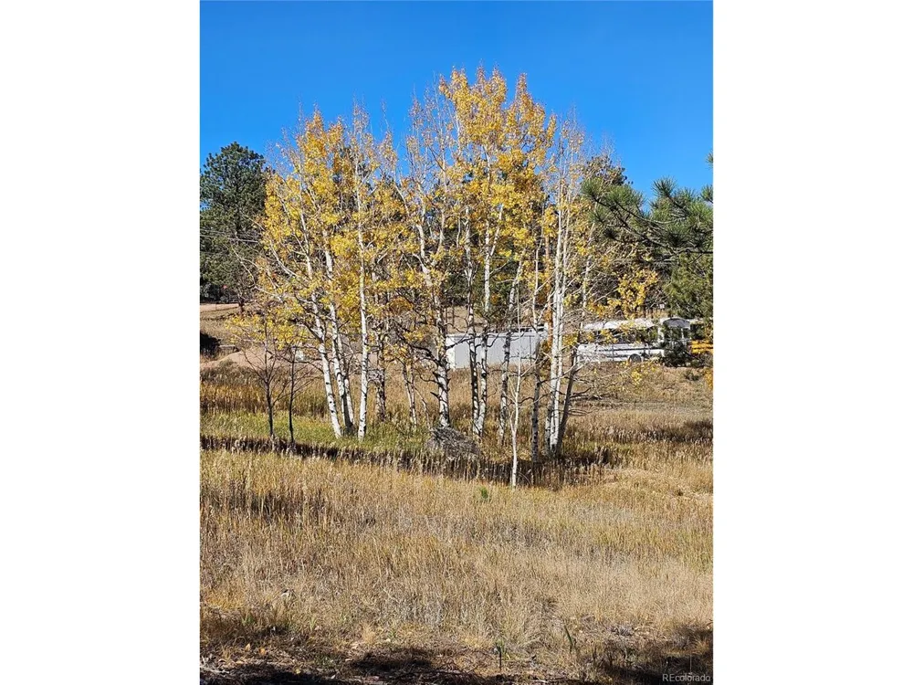 1504 County Road 43 Bailey, CO 80421