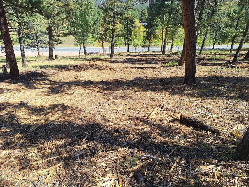 1504 County Road 43 Bailey, CO 80421