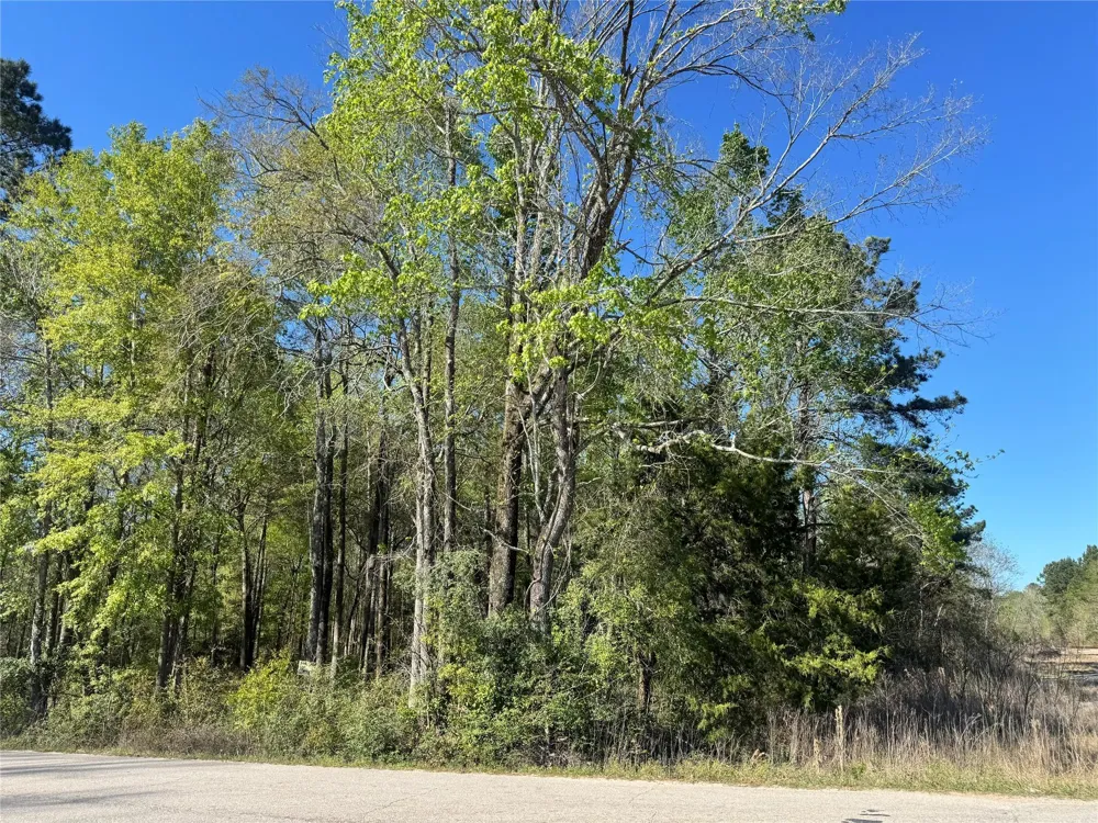 Railroad Avenue Shepherd, TX 77371