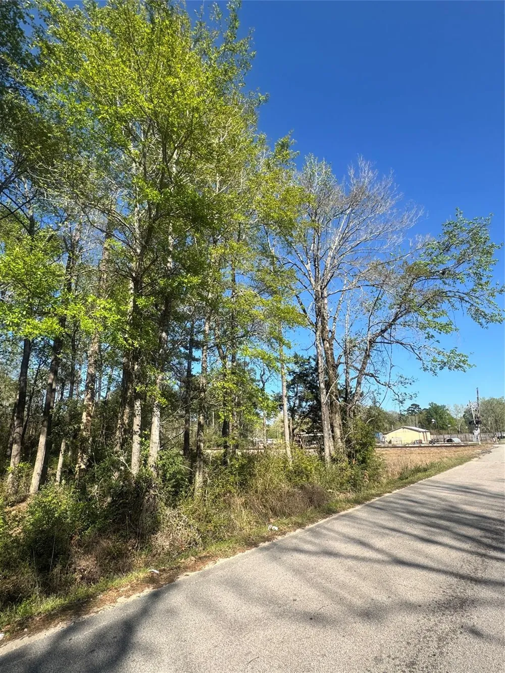 Railroad Avenue Shepherd, TX 77371