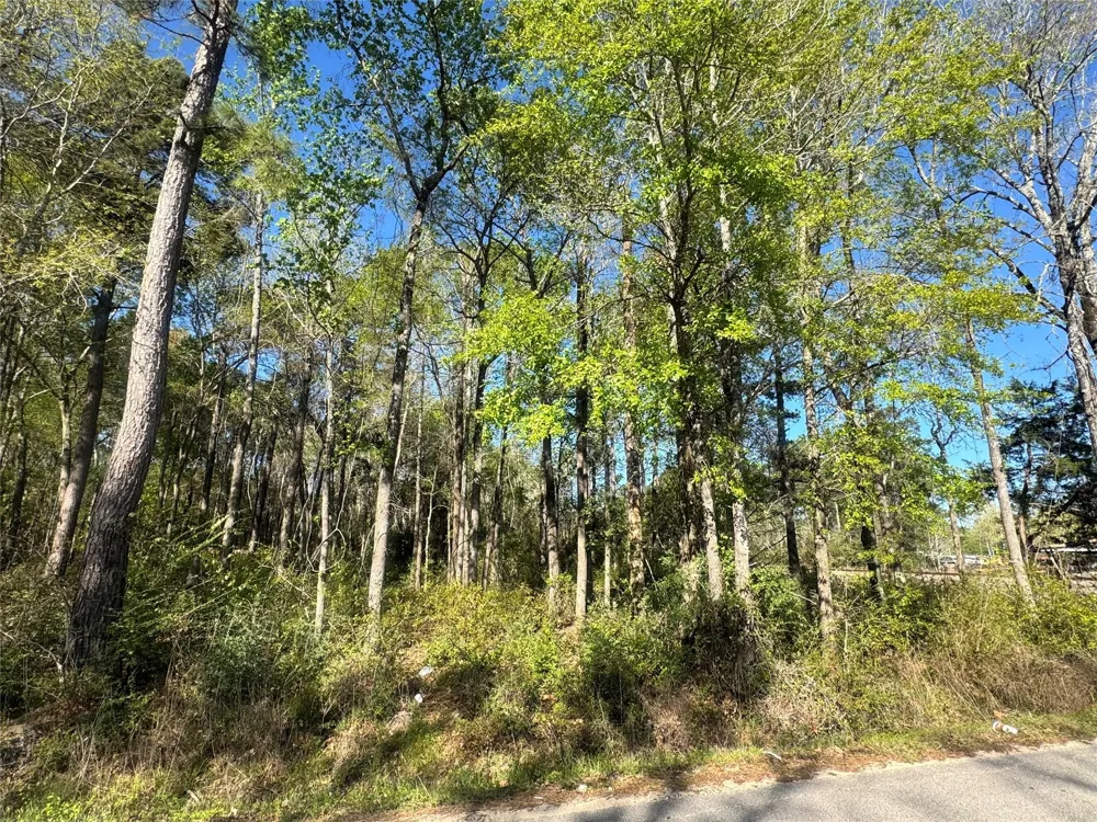 Railroad Avenue Shepherd, TX 77371