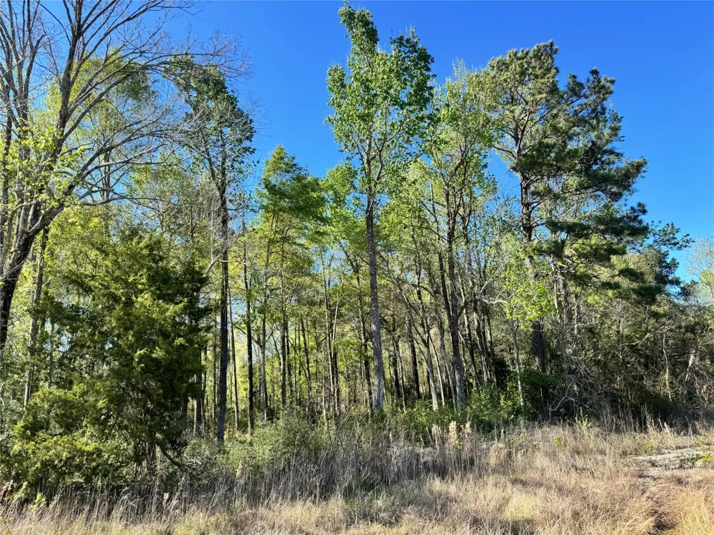Railroad Avenue Shepherd, TX 77371