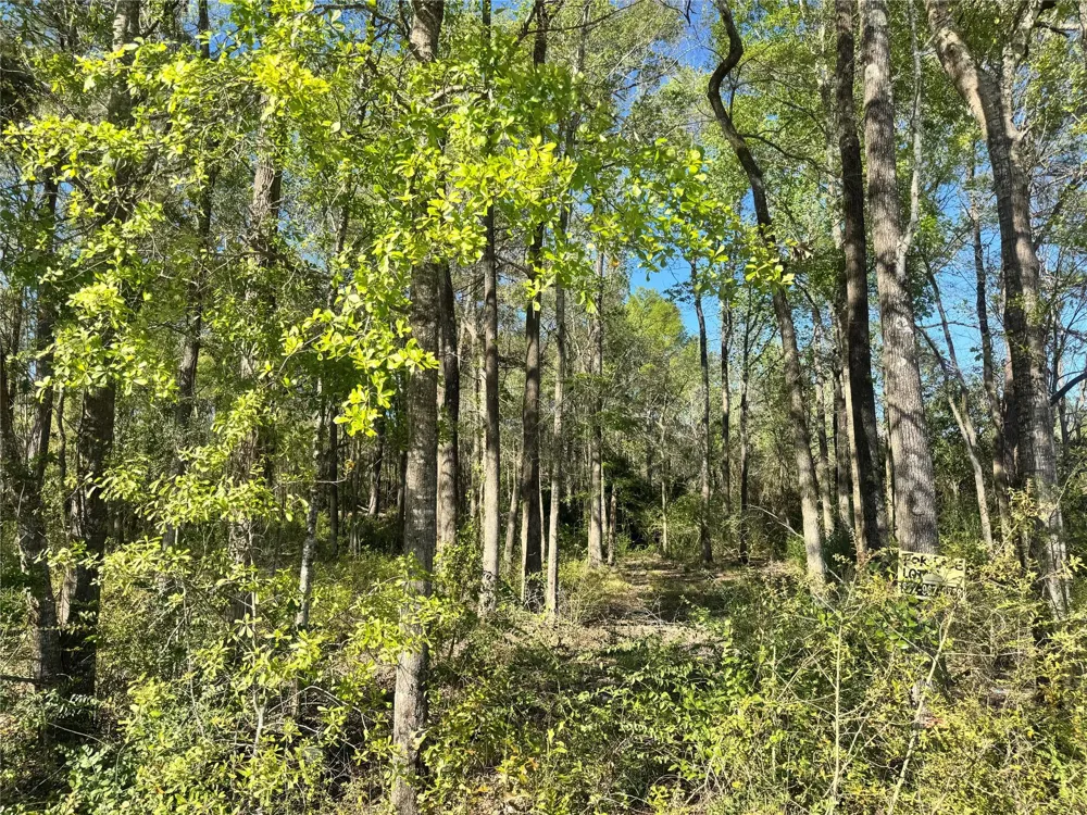Railroad Avenue Shepherd, TX 77371