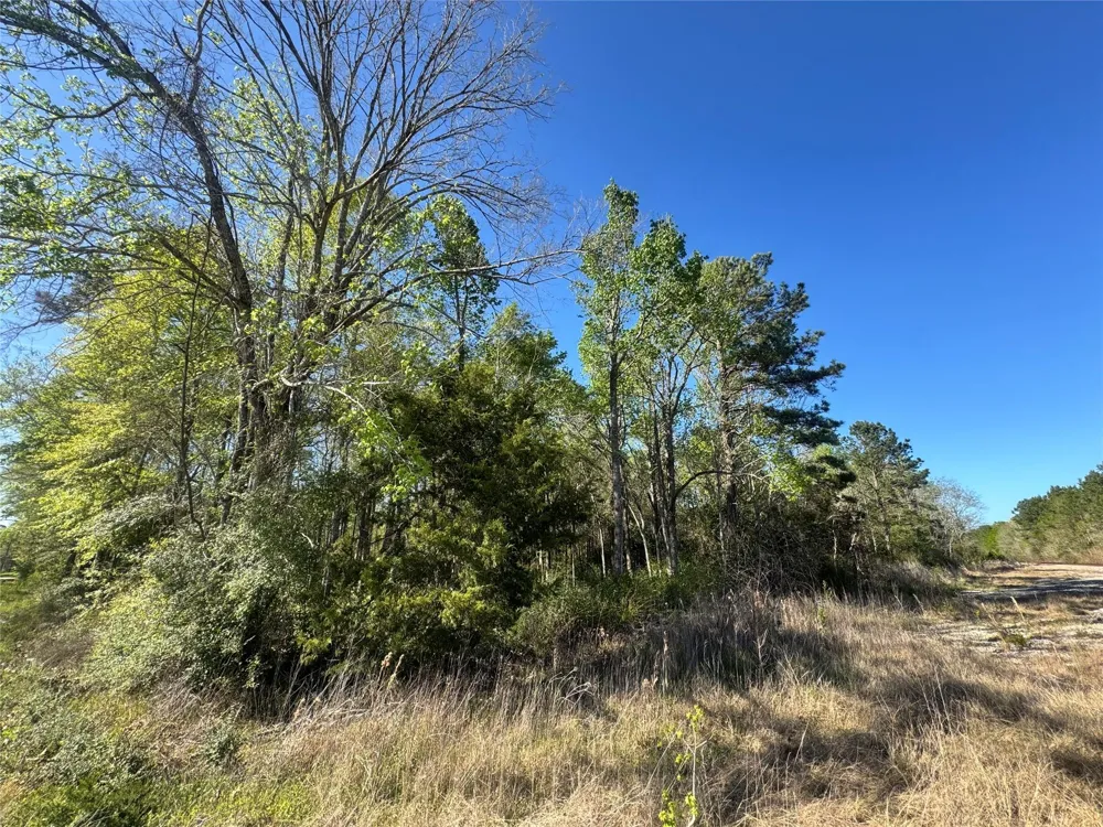Railroad Avenue Shepherd, TX 77371