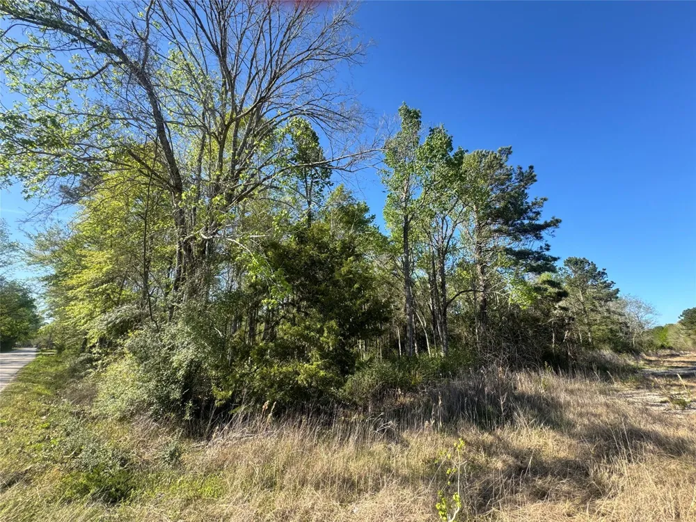 Railroad Avenue Shepherd, TX 77371