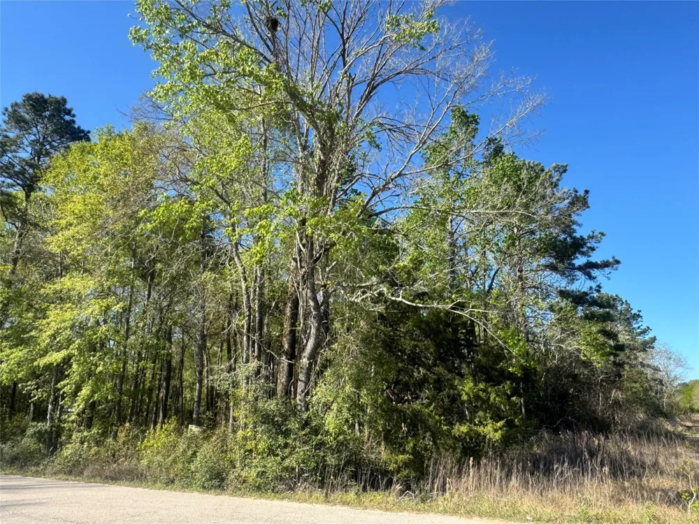 Railroad Avenue Shepherd, TX 77371