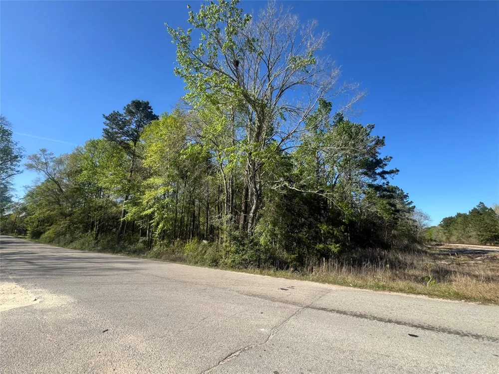 Railroad Avenue Shepherd, TX 77371