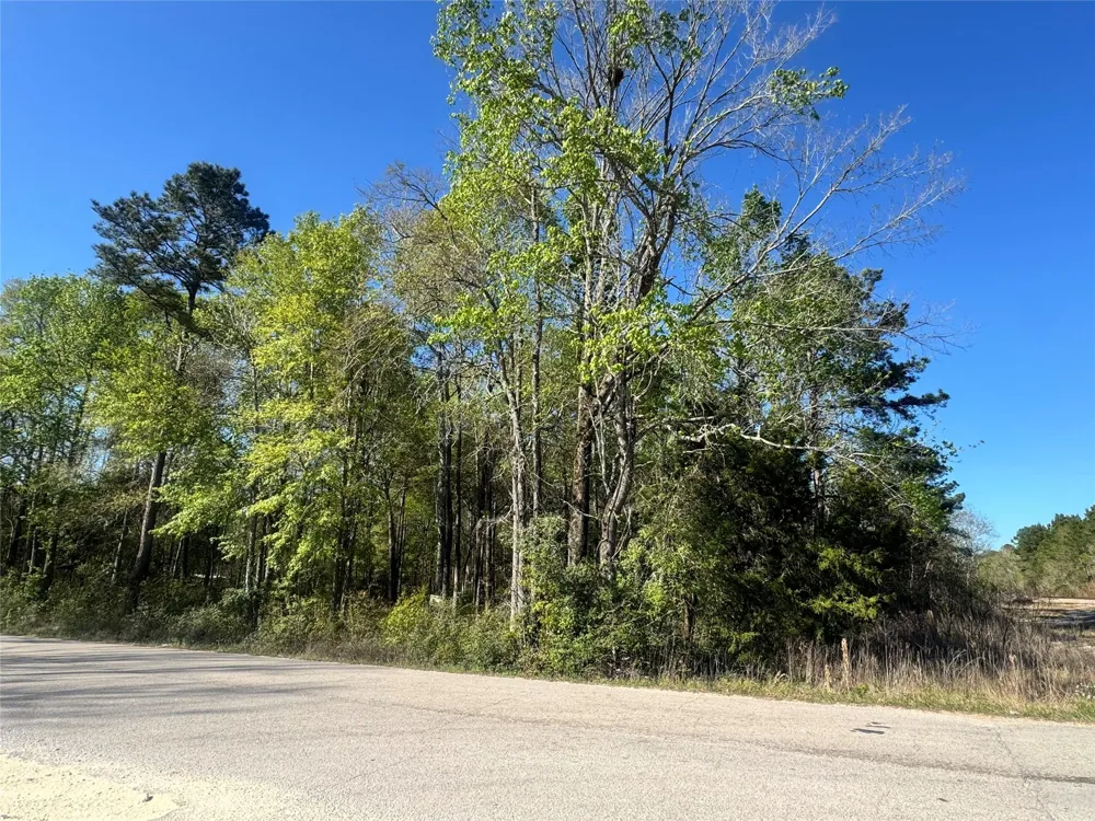 Railroad Avenue Shepherd, TX 77371