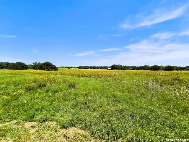 799 County Road 6612 Devine, TX 78016